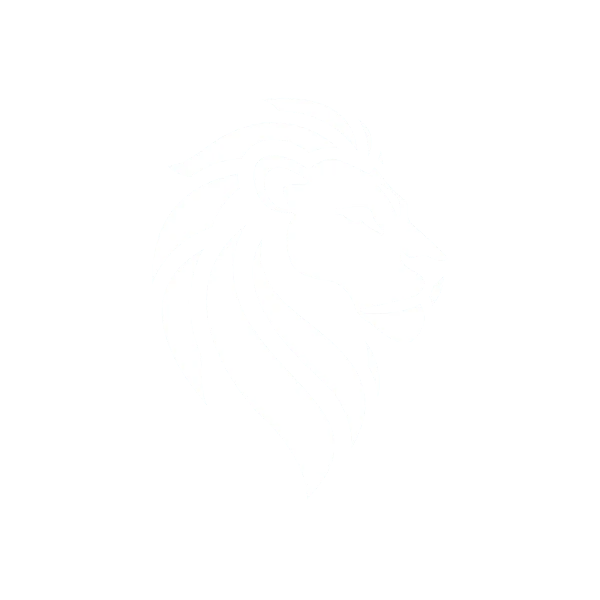 Aslan Otomotiv